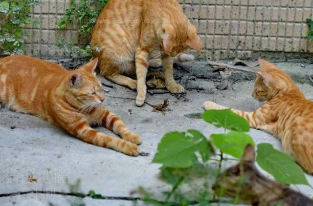 Picdump 471 - #59 