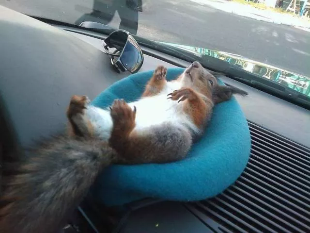 Picdump 471 - #87 