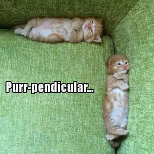 Picdump 472 - #2 