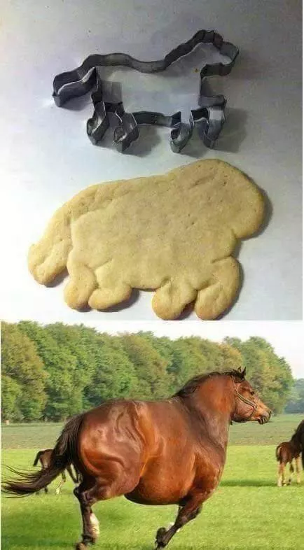 Picdump 472 - #40 