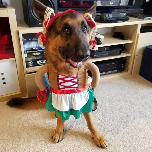 Sometimes cosplay is more realistic than their real characters - #18 
