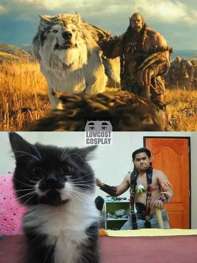Parfois les cosplay sont plus realiste que leurs vrai personnages - #34 