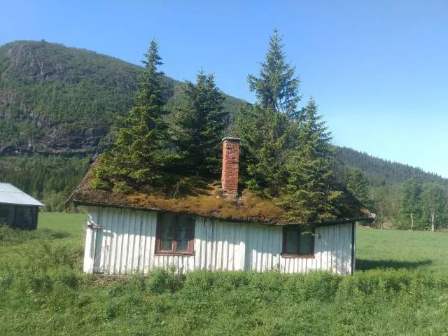 Picdump 473 - #18 