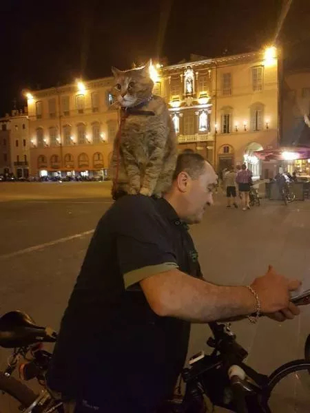 Picdump 474 - #22 