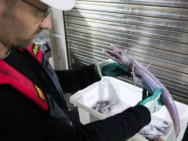 Tresors caches des fonds marins - #7 