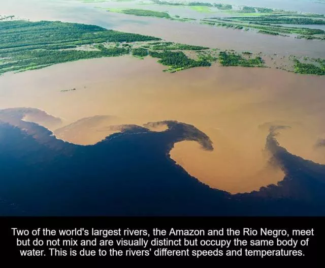 Alimentez votre curiosite naturelle - #13 