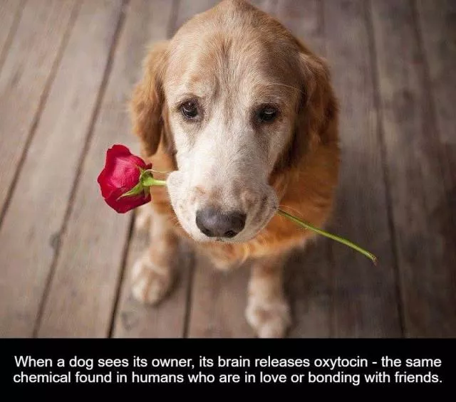 Feed your natural curiosity