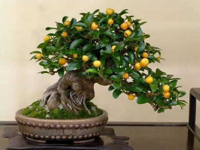 Picdump 475 - #37 