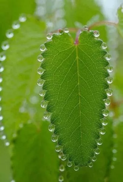 The most beautiful photos in the world - #11 