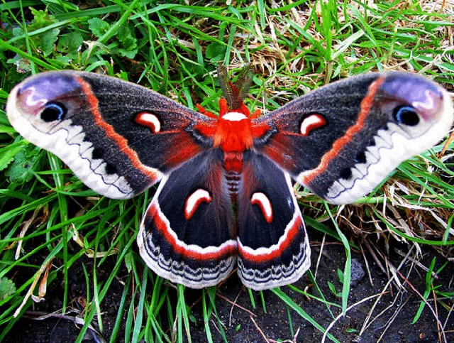 The most beautiful photos in the world - #20 