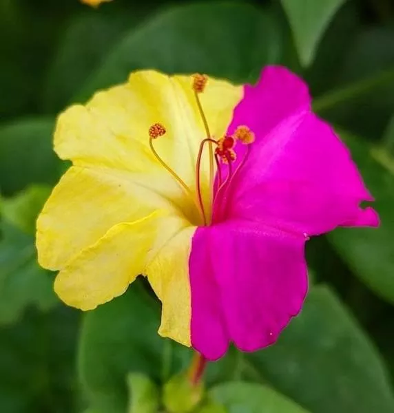 The most beautiful photos in the world