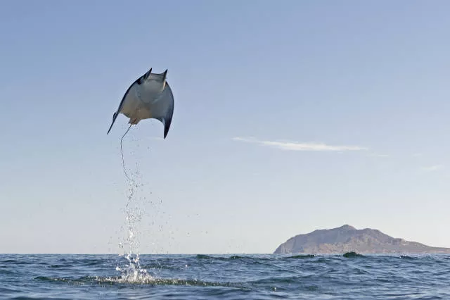 The most beautiful photos in the world - #44 