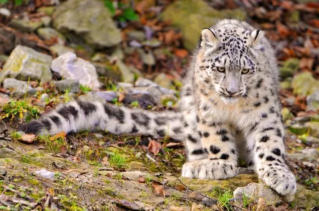 The most beautiful photos in the world - #45 