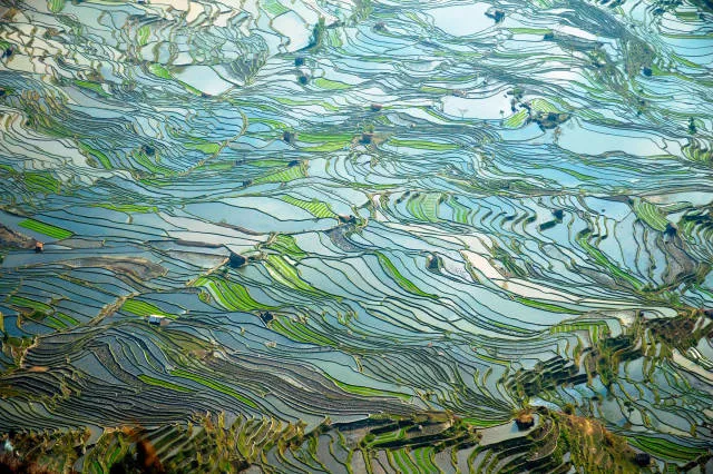 The most beautiful photos in the world - #48 