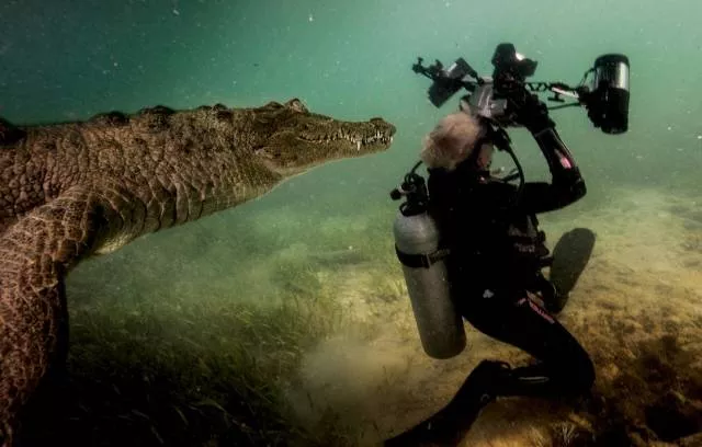 Les plus belles photos du monde - #52 