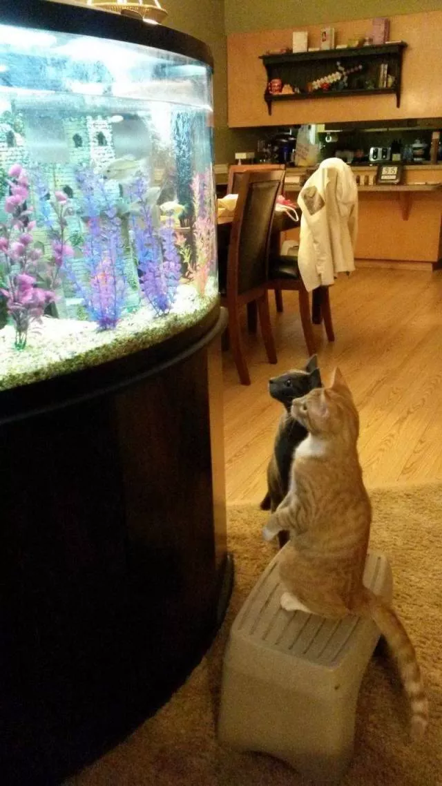 Picdump 476 - #26 