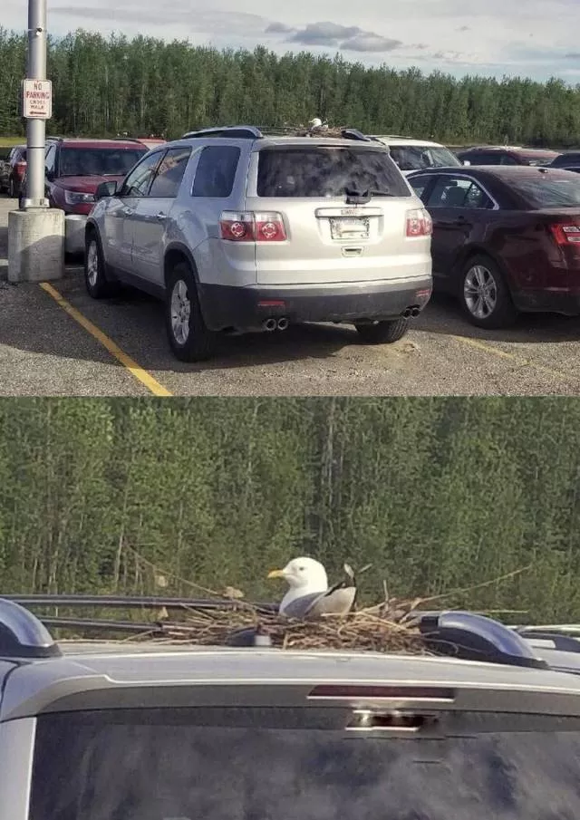 Picdump 476 - #33 