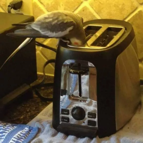 Picdump 476 - #38 