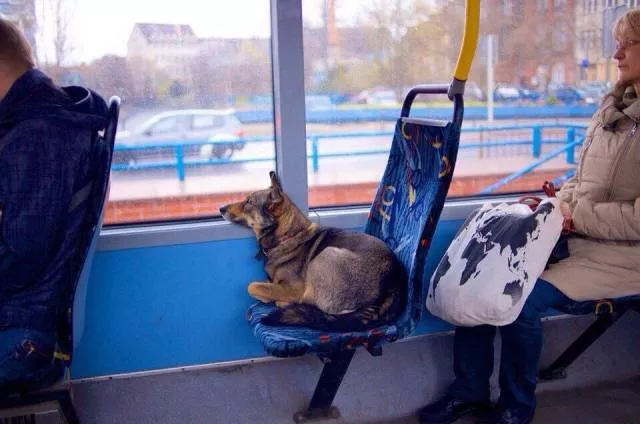 Picdump 476 - #39 