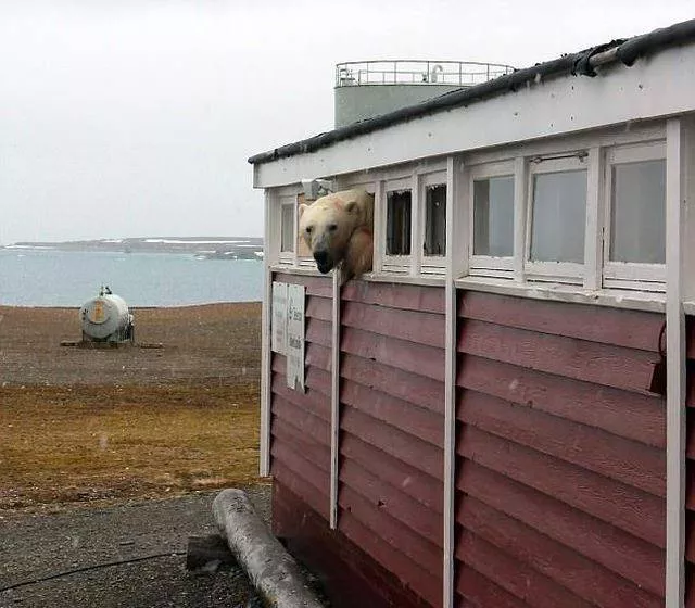 Picdump 476 - #40 
