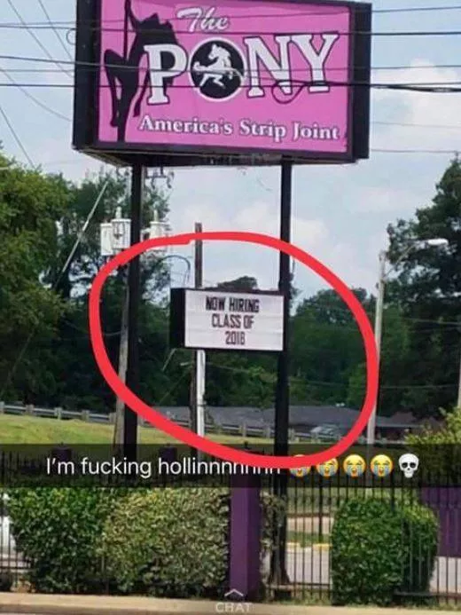 Stupidity in pictures - #34 