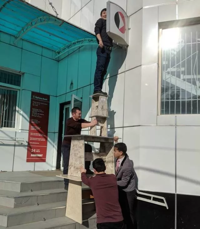 Stupidity in pictures - #38 