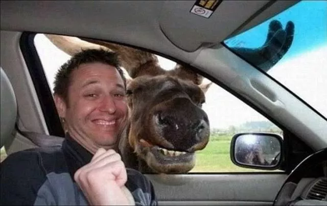 Picdump 478 - #14 
