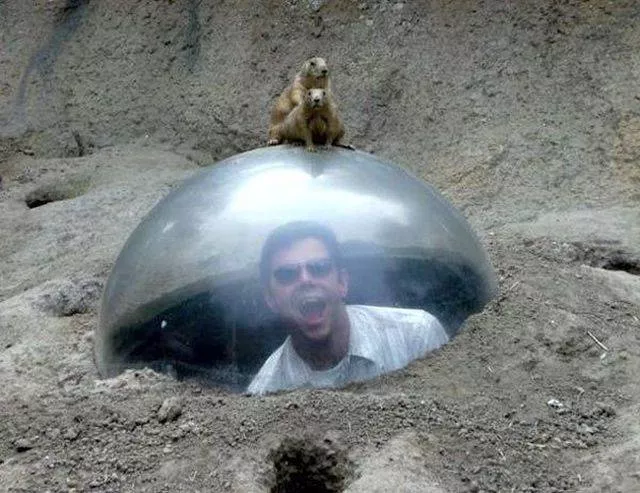 Picdump 478 - #53 