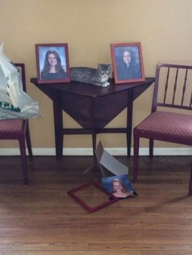 Picdump 478 - #56 