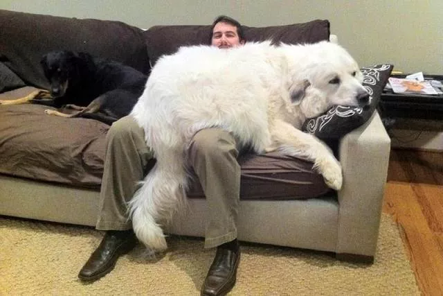 Picdump 478 - #65 