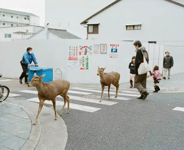 Picdump 478 - #69 