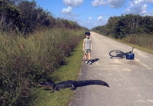 Picdump 478 - #70 