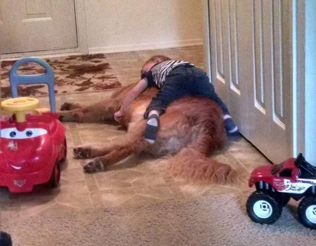 Picdump 478 - #78 