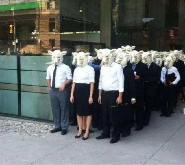 Picdump 478 - #84 