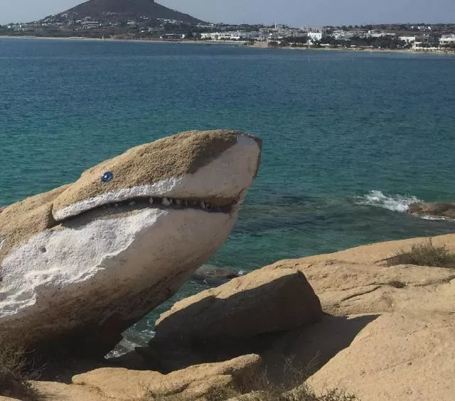 Picdump 478 - #87 