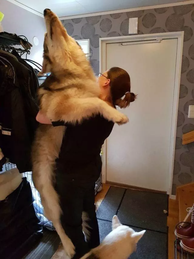 Picdump 478 - #96 