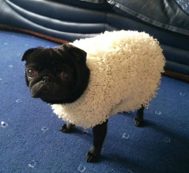 Picdump 479 - #18 