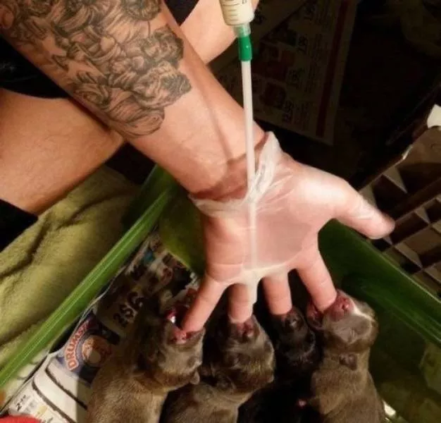 Picdump 479 - #24 