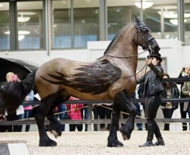 Picdump 82 - #25 Picdump 82 - #25