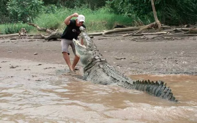 Picdump 480 - #2 