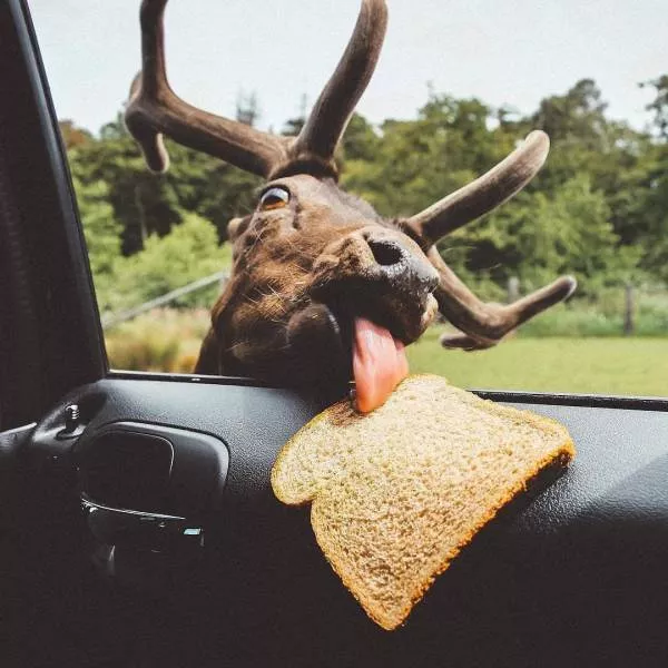 Picdump 480 - #27 
