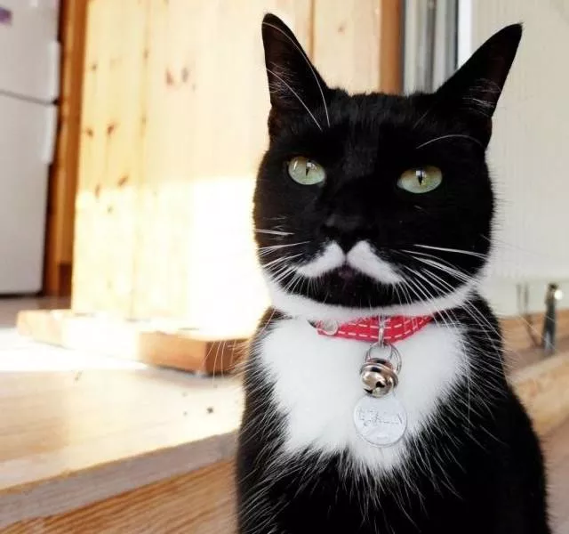 Picdump 480 - #47 