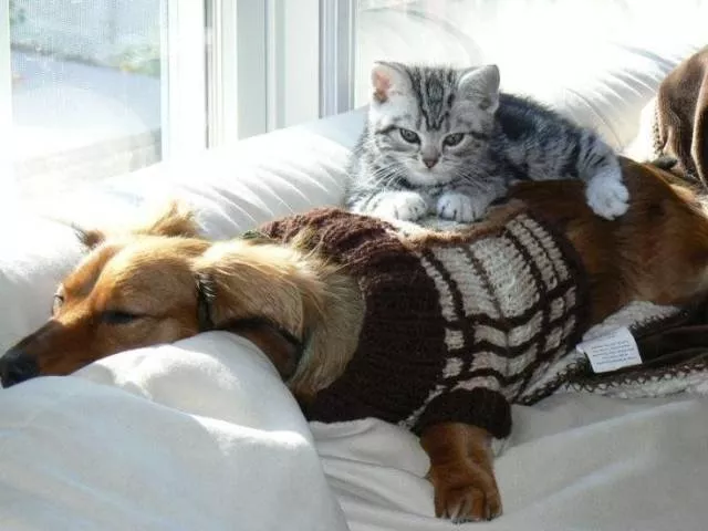 Picdump 480 - #55 