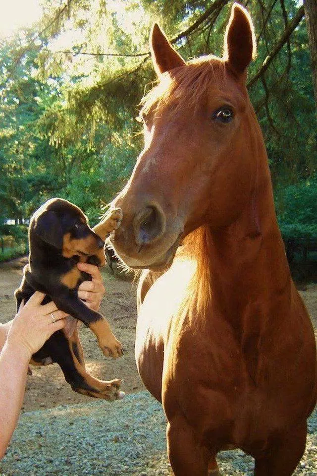 Picdump 480 - #7 