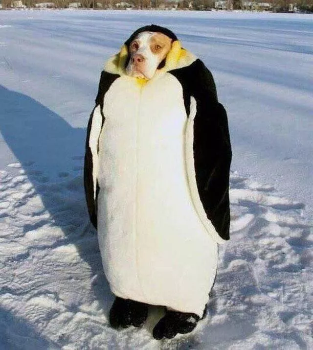 Picdump 480 - #71 