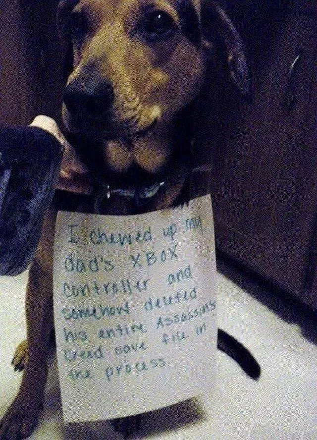 Picdump 480 - #78 
