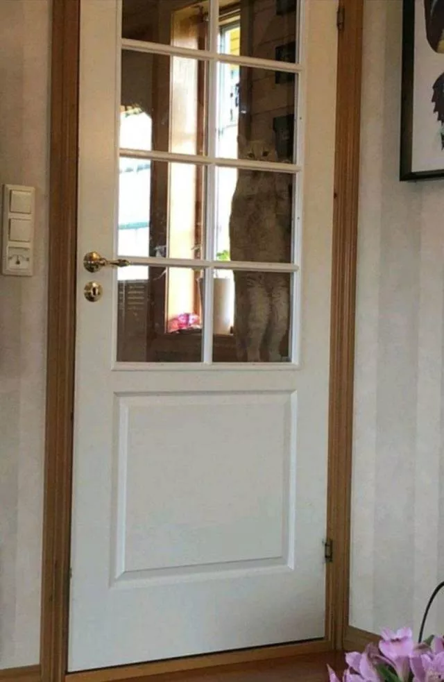 Picdump 480 - #8 