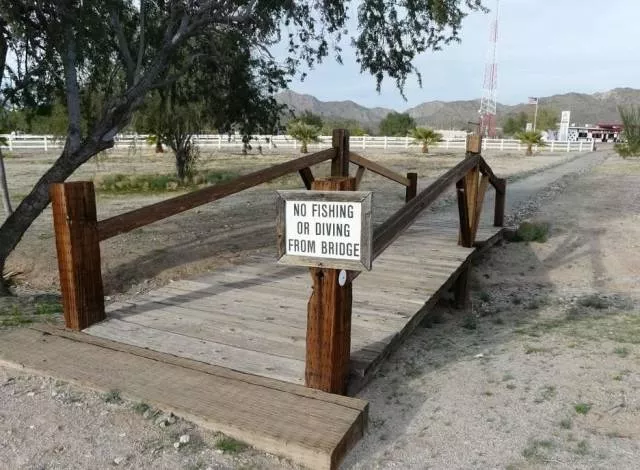Picdump 483 - #37 