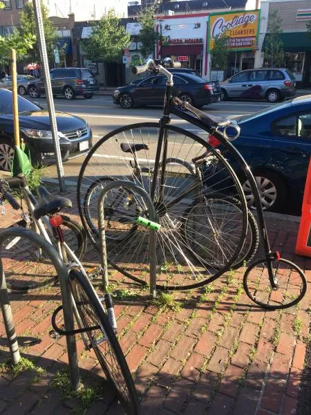 Picdump 483 - #41 