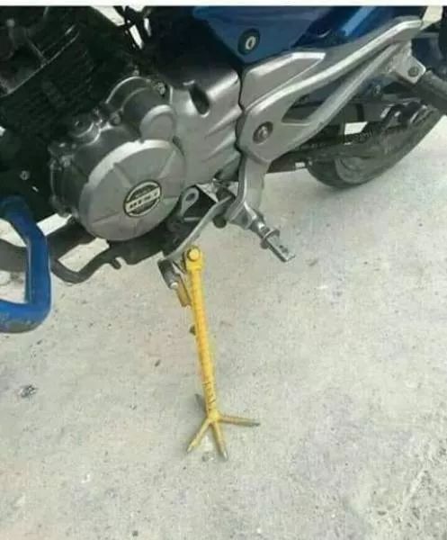 Picdump 485 - #30 